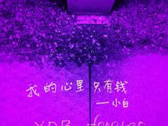 -莫子山公园