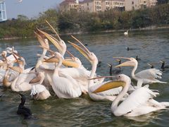 -乐和乐都主题乐园