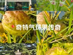 -国家植物园南园