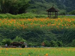 -靖西鹅泉风景区