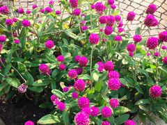 -龙环葡韵住宅式博物馆