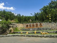 -欢乐松鼠谷
