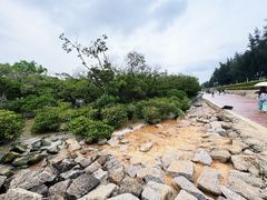 -宝安西湾红树林湿地公园