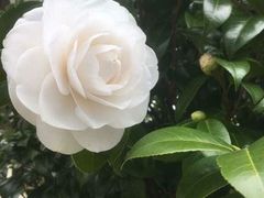 -DQ·蛋糕·冰淇淋(回龙观同成街)