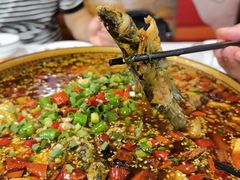 -葡萄园鱼庄(新津店)