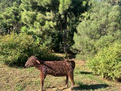 -北京西山国家森林公园