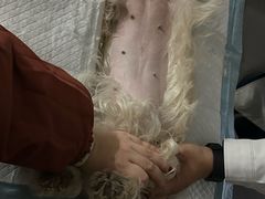 -谐和贝康宠物医院24小时·宠保定点(急重症转诊中心)