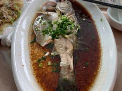 野生海掉鲈鱼-江南村海鲜馆(洞头店)