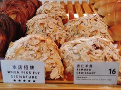 -WHEN PIGS FLY当猪飞