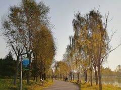 -东郊湿地公园