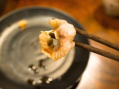 芥末鱼片-庆合府重庆大排档(紫都城店)