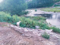 -楠溪江风景名胜区