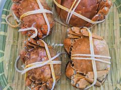 -蟹天蟹地农家菜·阳澄湖大闸蟹(浅水湾店)