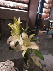 -美健盛世·美容SPA连锁