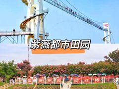 -武汉紫薇都市田园