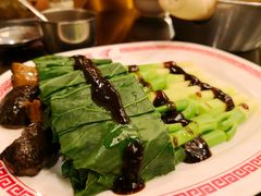 -中国城银都鱼翅酒楼