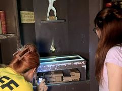 -逃脱反斗城沉浸剧情密室(北京路店)