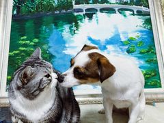 -瑞鹏宠物医院犬猫全科(真大分院)