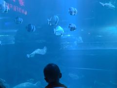 -太平洋海底世界