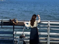 -北戴河碧螺塔海上酒吧公园