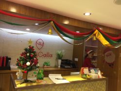 -银座Calla