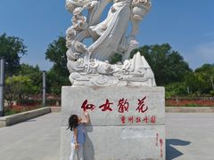 -曹州牡丹园