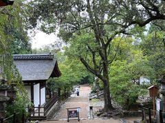-奈良公园