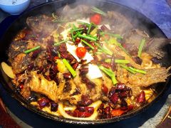 -老板恋上鱼(恒隆广场店)