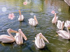 -沈阳森林动物园