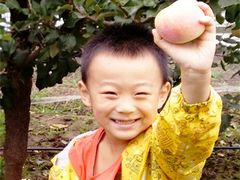 -精诚实验幼儿园潘家园园