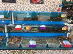 水产区-港畔赶海蒸汽海鲜烧烤自助(仙螺岛店)