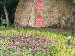 -野狸岛