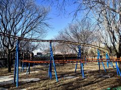 -朝阳公园游乐园