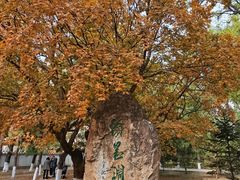 -辽宁大学(崇山校区)