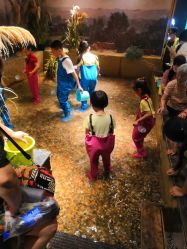 -造物庄园 萌宠纪(苏州湾歌林公园店)