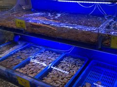 -新海渔港·胶东海鲜家常菜·家宴(奥体中心店)
