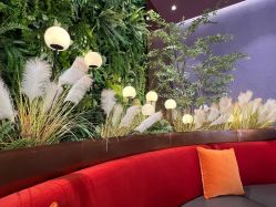 -花隐·美芙炫海菲秀皮肤管理中心