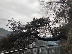 -矮寨·十八洞·德夯大峡谷景区