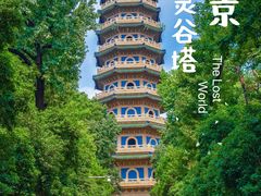 -灵谷景区