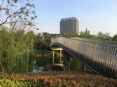 -南翔镇银翔湖公园