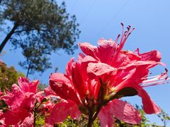 -十九峰景区-倒脱靴