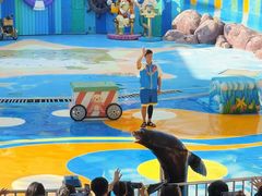 -海合安成都极地海洋公园