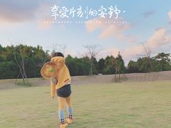 -自然谷恐龙园
