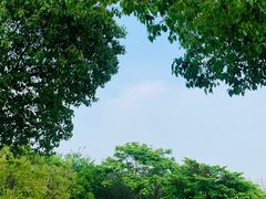 -南京市江宁方山
