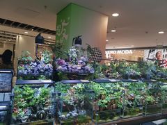 -凯德MALL(望京店)