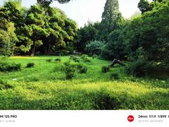 -信号山公园
