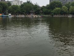 -文瀛公园