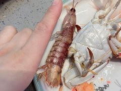 -乔哥铭洋海鲜自助(皇城恒隆广场店)
