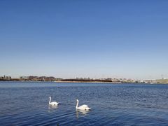 -北龙湖湿地公园