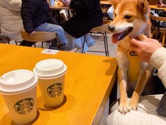 -星巴克(天津佛罗伦萨小镇店)